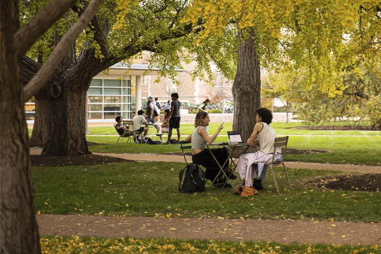 Students sitting at tables under Gingko trees on campus