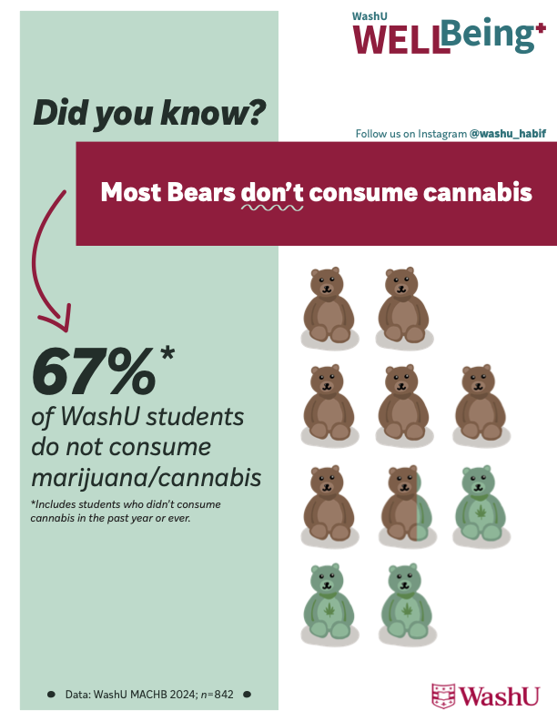 Most Bears Don’t Consume Cannabis